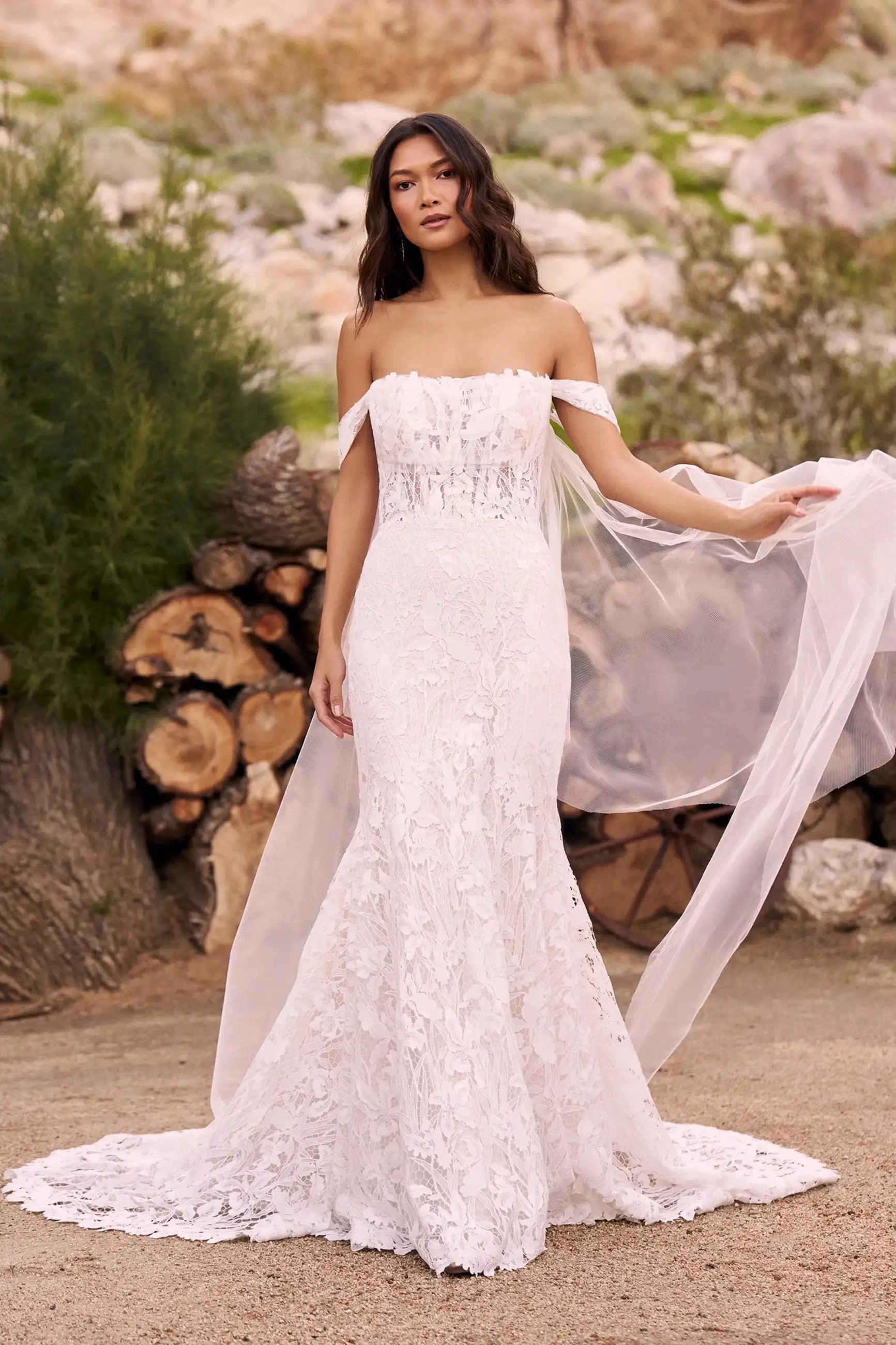 Boho Chic to Classic Elegance: Fall 2024 Bridal Dress Styles Image